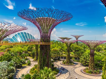 Gardens by the Bay